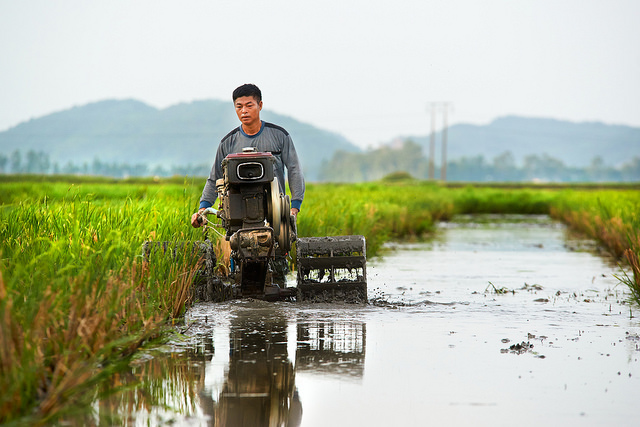 Farming Permits